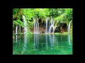 Relaxing beauty and sound from Nature