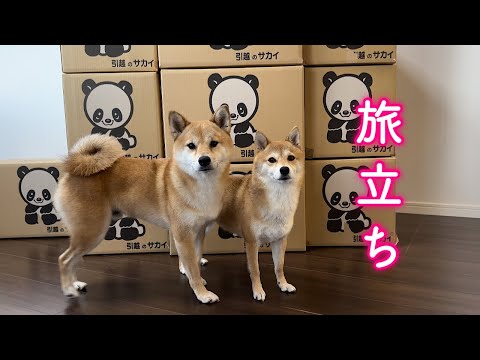 遂に福岡を出る日がやってきました！