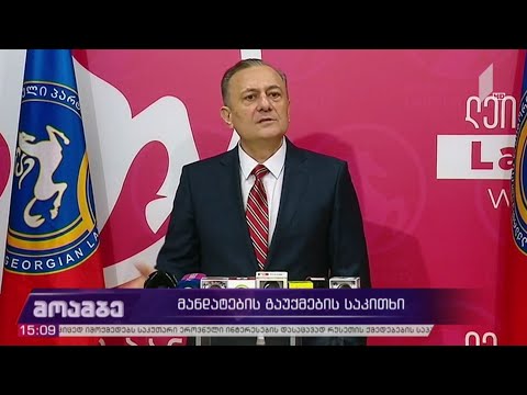 მანდატების გაუქმების საკითხი - ოპოზიციის გეგმები