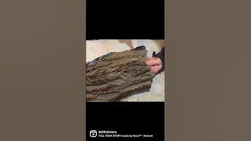 Encaustic on Salvaged Bark     #art #encaustic #encausticart #salvaged