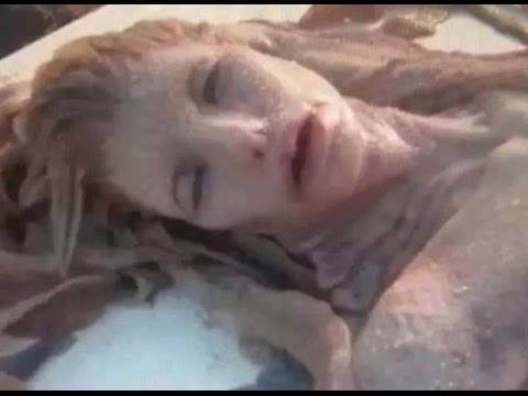 Удивительное существо выбросило на берег