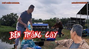 Câu cá chim hồ dịch vụ - hồ Ecolakes 79[phần2] - cá ben thấy ham bậc cần liên tục