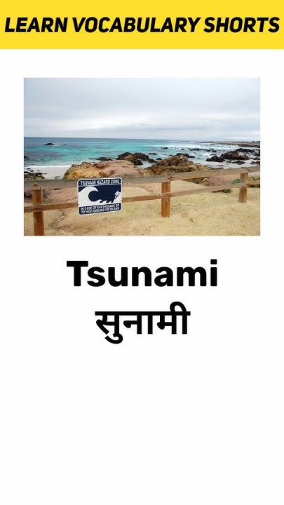 Tsunami news in hindi
