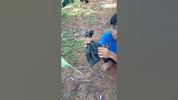 Keseruan memikat serindit