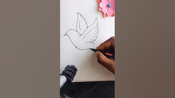 🕊️🕊️ Dove drawing. easy drawing tutorial #shorts#shortsvideo #drawing #peace #dove 🕊️🕊️