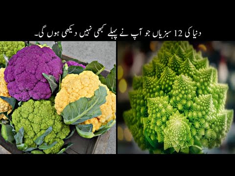 12 Most Unusual Vegetables Urdu | دنیا کی وہ سبزیاں جو آپ نے کبھی نہیں دیکھی ہوں گی | Haider Tv