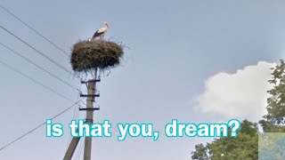 dream as a rich bird screenshot 5