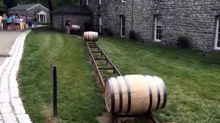 How To Make Google Do A Barrel Roll