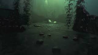 Create Underwater CG Environments in Cinema 4D