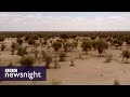 The Great Green Wall of Africa: Will it help fight climate change? BBC Newsnight