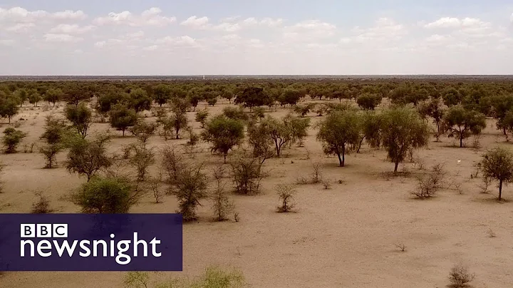 The Great Green Wall of Africa: Will it help fight climate change? BBC Newsnight - DayDayNews