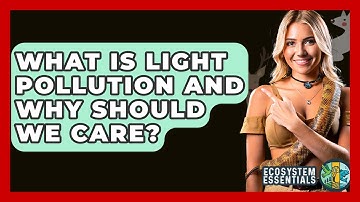 What Is Light Pollution And Why Should We Care? - Ecosystem Essentials