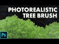 Photorealistic treeleaf brush  photoshop tutorial teamtrees