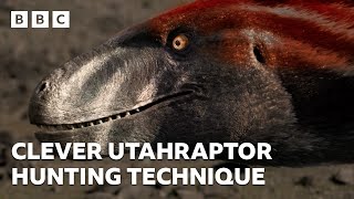 Clever Utahraptor Hunting Technique Walking With Dinosaurs