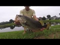 Cast to Catch (Bass Fishing Jacksonville, Florida)