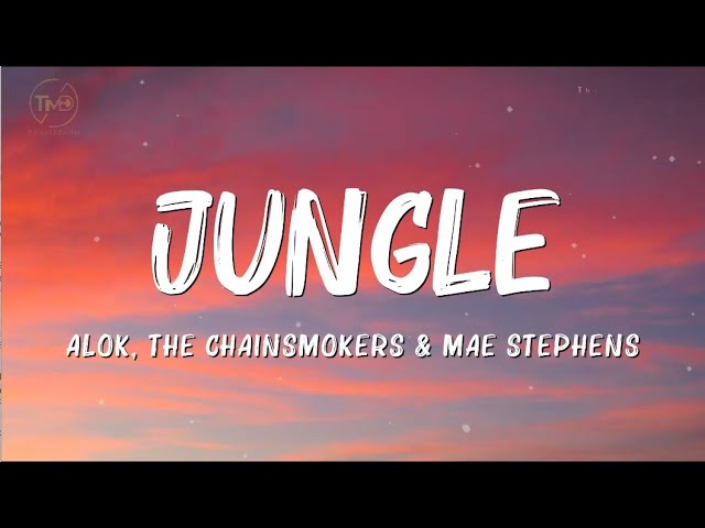 Alok, The Chainsmokers & Mae Stephens - Jungle (Lyrics) 