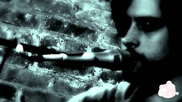 Acoustic Lodge: David Berkeley - Willis Avenue Bridge live 11/04/2013 New York City