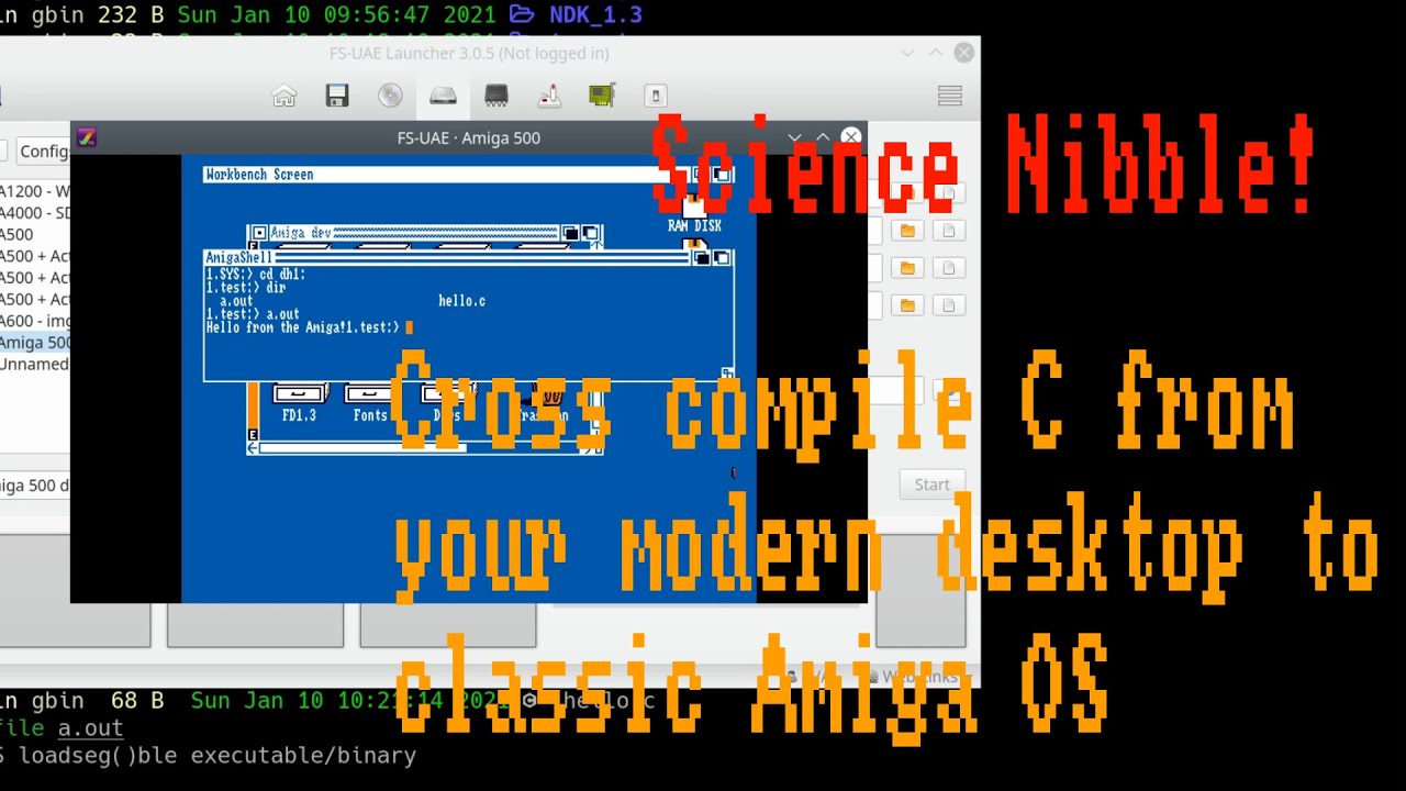 Cross compilation for Amiga classic OS - Science Nibble! [💉💉] - YouTube