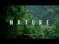RELAXING MUSIK Rain forest