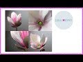 How to Make  Gumpaste Magnolia Flower (Easy with a right Tutorial! )