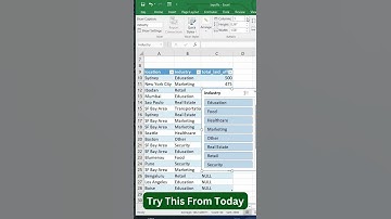 Excel Slicer Hacks | Fastest Way to Filter Data Tables! #excel #exceltips  #googlesheets #shortcuts