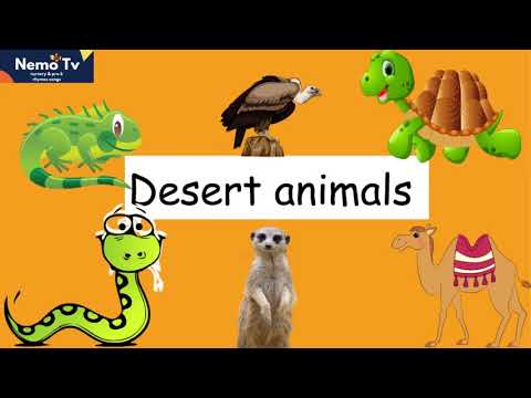 Desert Animals for Children - Desert Animal Sounds for Kids to Learn - Fox, Camel & Coyote
