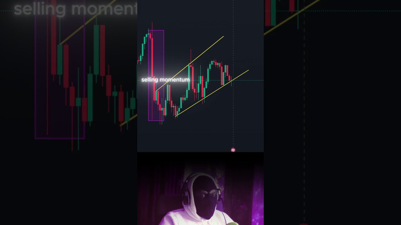 The Best Forex Trading Tips For Beginners