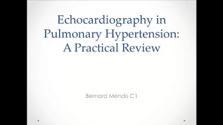 Echocardiography in Pulmonary Hypertension: A Practical Review