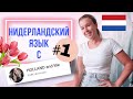 Нидерландский язык с нуля. Урок 1