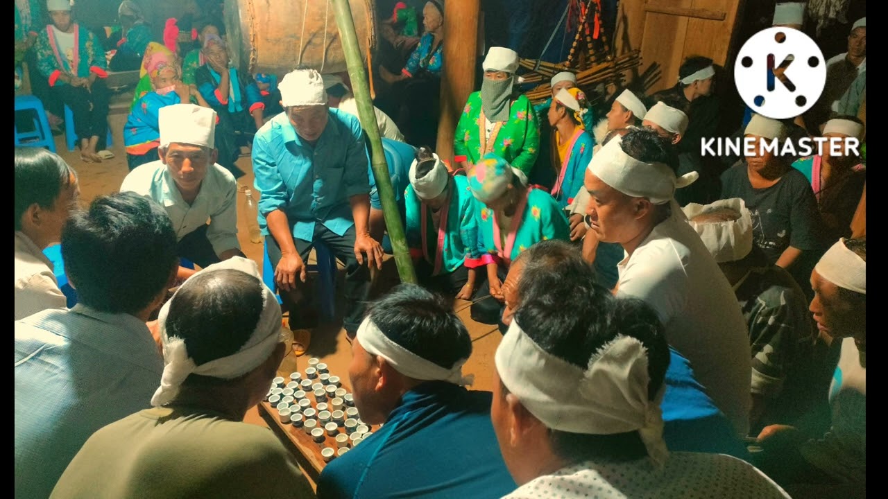 txiv xaiv foom kom(cuab tsav)