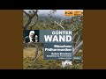 Miniature de la vidéo de la chanson Symphony No. 9 In D Minor, Wab 109 (Original 1894 Version, Ed. L. Nowak) Iii. Adagio: Langsam Feierlich