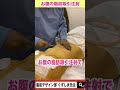 【脂肪吸引注射】お腹痩せでどのくらいの脂肪が取れるの? #Shorts