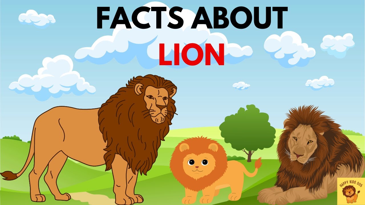 Learn Facts About Lion | Lion animal | Kids School | Animal Facts ...