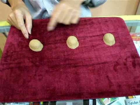 Vernet Three Shell Game