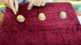 Vernet Three Shell Game