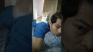 Beto pingin d gendong 😅😆 #funny #pets #catcomedy #catvideos #cat #funnyanimals #catlover #shorts