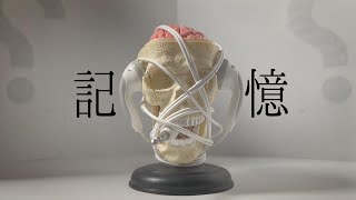 記憶/茘枝しおり feat.鏡音リン