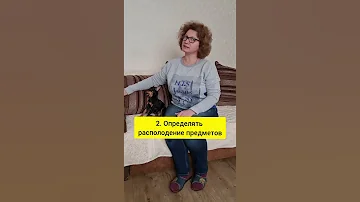 Зачем собакам усы и почему собаке нельзя стричь усы. #Shorts