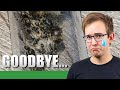 SAYING GOODBYE TO A COLONY | The 2020 Lasius Niger Experiment Update #4 - Ant Holleufer