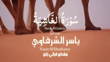الشيخ |ياسر الشرقاوي| ❤️ سورة الغاشية
