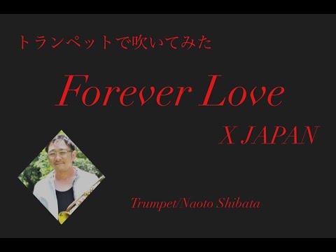 Forever Love/X JAPAN【トランペット】歌謡曲ムードトランペッター・柴田直人