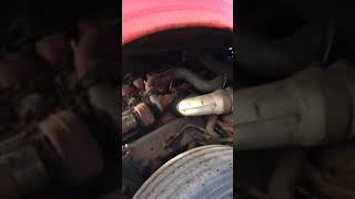 IMG 0368