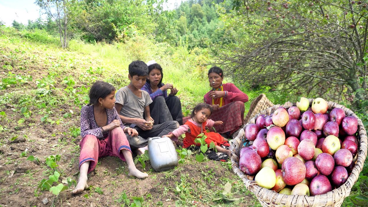 dharme brother family's farming || taking apple in the village || Life in rural Nepal @ruralnepall