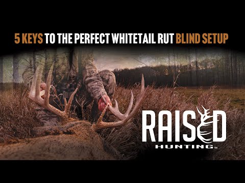 5 Keys To The Perfect Whitetail Rut Blind Set Up