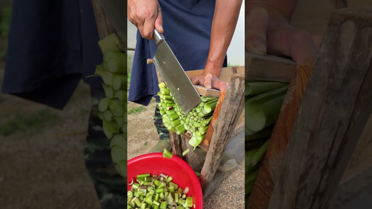 Rural Life Therapy: Hand-Cutting Plant Stems
