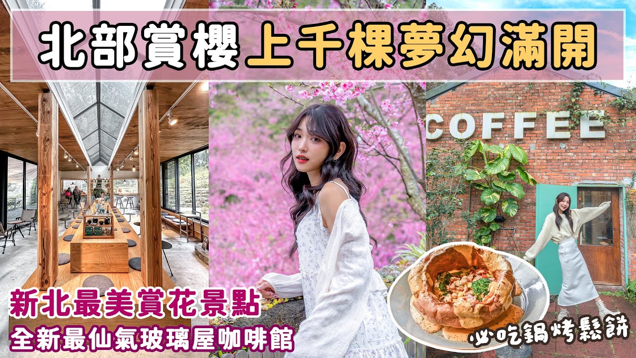 絕美賞櫻秘境！四千株櫻花林浪漫綻放🌸森林系仙境咖啡廳喝咖啡、紅磚老屋裡享用鍋烤鬆餅！📍好想去新北