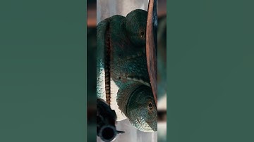 Try Me | #rango #rangoedit #johnnydepp #nickelodeon #edit #foryou #fyp #viral