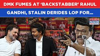 DMK Derides ‘Backstabber’ Rahul Gandhi, Stalin Goes Ballistic Against 'Immature' Congress Leader For