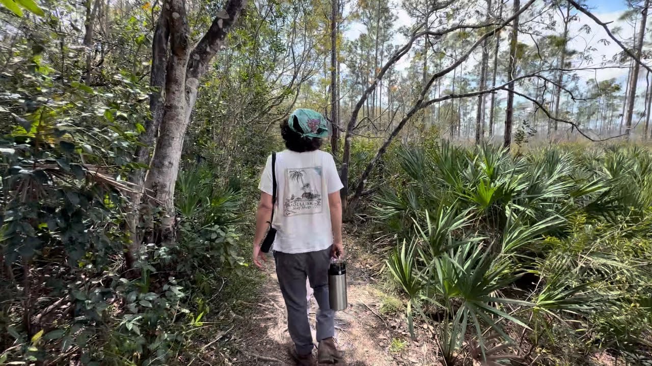 Van Camping in the Florida Everglades 🌴
