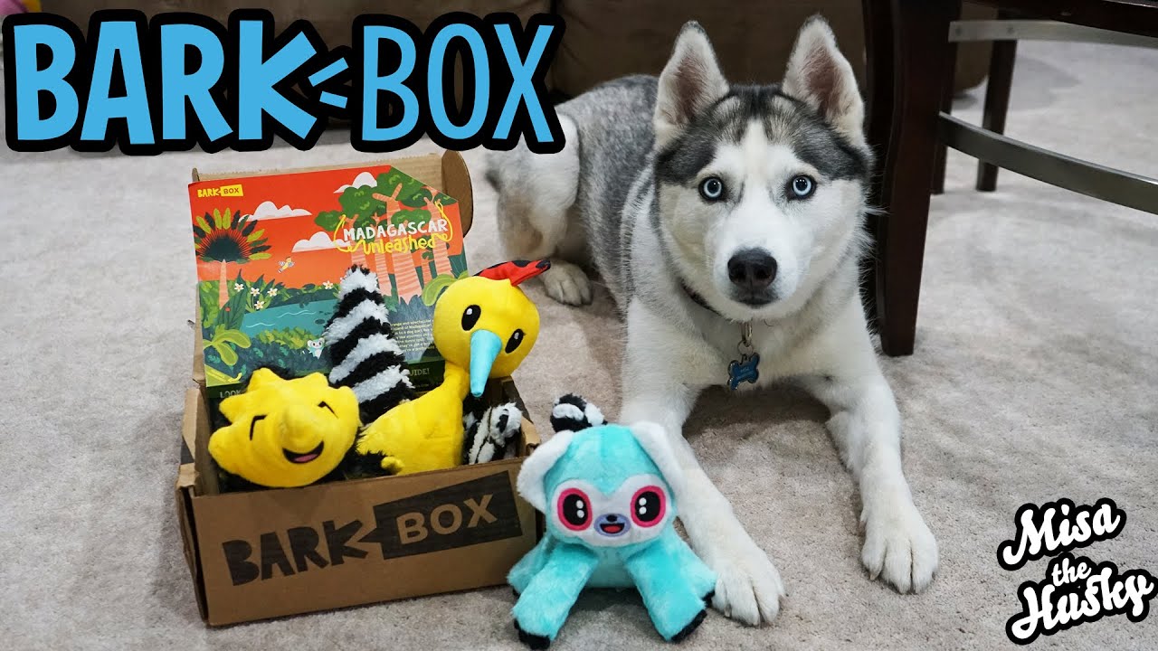 March BarkBox Unboxing